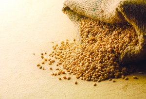 iStock_000016744375Small