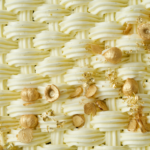 Græskarkage med ostecreme