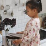 rugsnacks med chokolade og tranebær