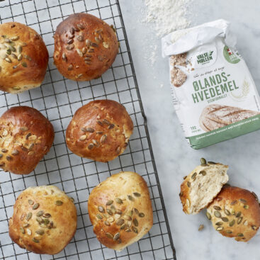 sandwichboller med ølandshvede