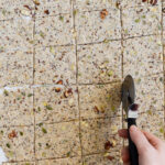 økologiske knækbrød