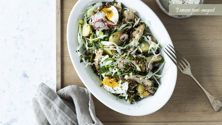Kartoffelsalat Med Fuldkornsknas Og Kylling Opskrift Med Sommergront